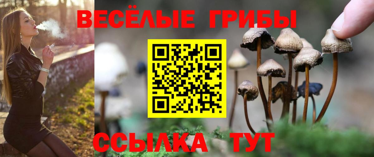 Галлюциногенные грибы Magic Shrooms  Галлюциногенные грибы ЛСД  Вход с VPN  Саров 