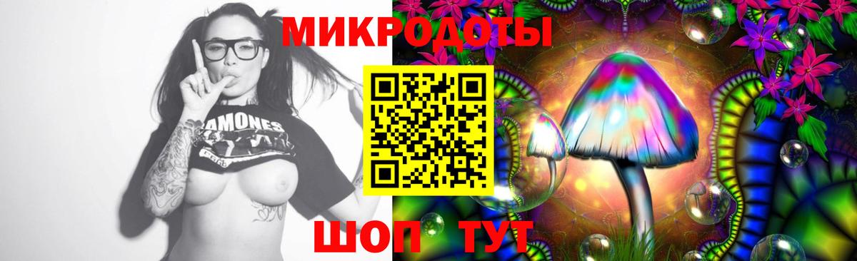 Галлюциногенные грибы Cubensis Саров